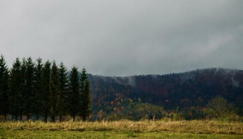 Na Dziko! Bieszczady - Dom W Bieszczadach