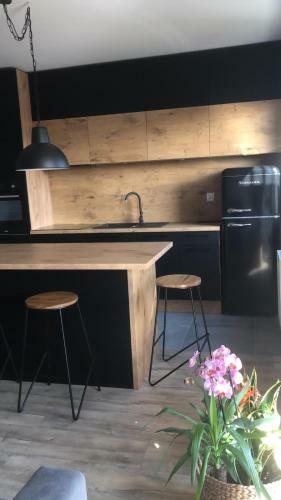 Apartament Go?cinne Sady