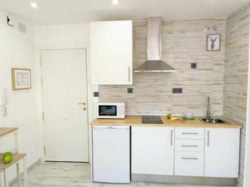 Apartamento Ojana Centro