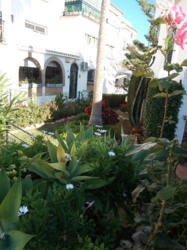 Apartamento Centrico Cerca de La Playa
