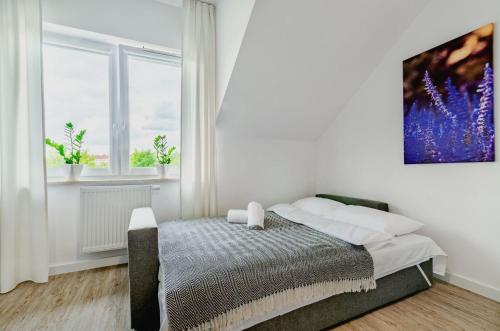 Apartamento Novomiejska 17