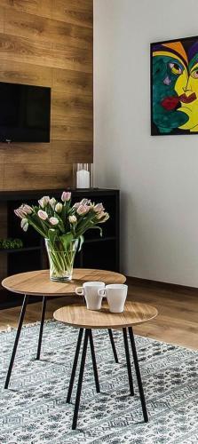 Apartament Nadbystrzycka No. 13