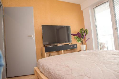Easy Rent Apartments - Cute 27