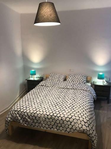 Cactus Apartment