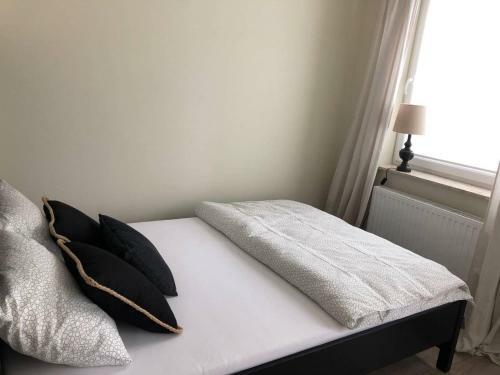 Apartament Parion