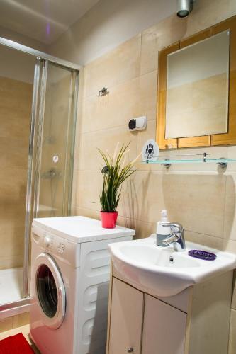 Apartament Br?zowy Narutowicza 11