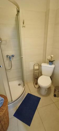 Apartament Granatowy ?wi?toduska 12