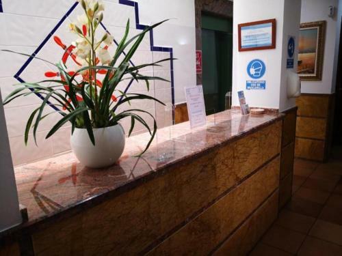 Apartamentos Leonor Y Caracas