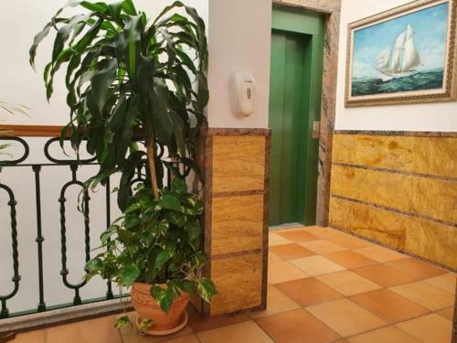 Apartamentos Leonor Y Caracas