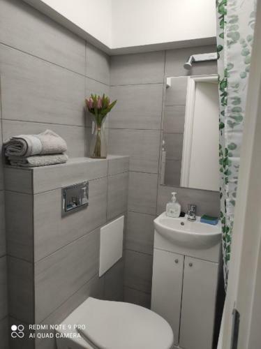 Apartamento U Szewca