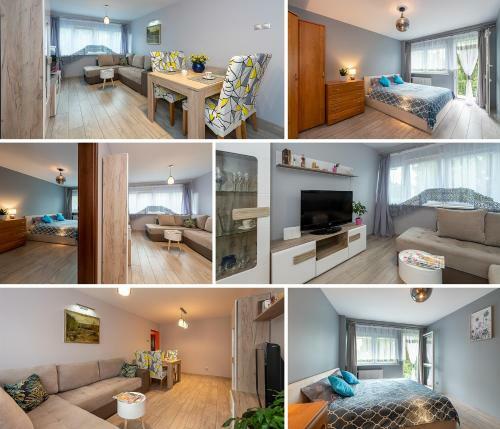 Apartament Lila