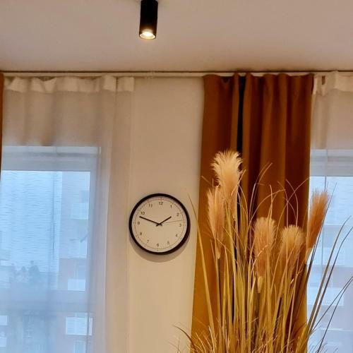 Apple Apartments - Wr�blewskiego