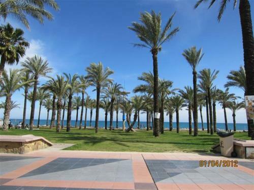 Lovely, Sunny, Seaview Apartment With Wifi