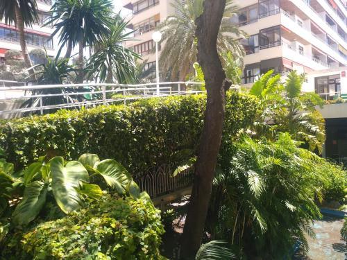 Apartamento Nogalera 109
