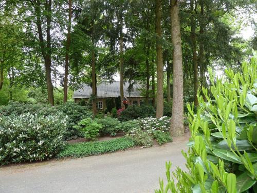 Buitencentrum Ruighenrode 2