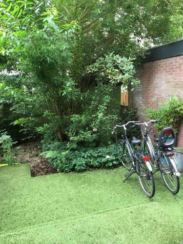 Apartamento Studio Zaagmolen