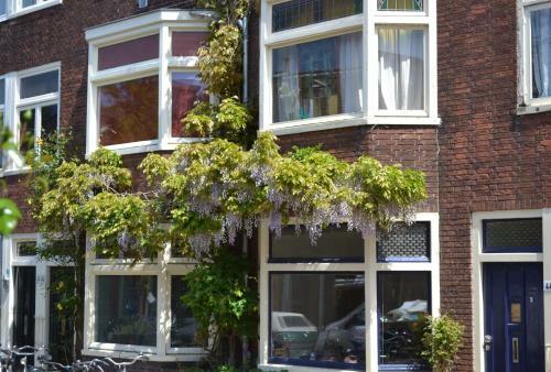 Bed & Bicycle Limes Oudwijk