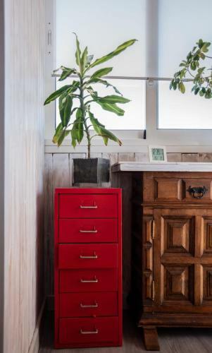 Apartamento Las Orquidias