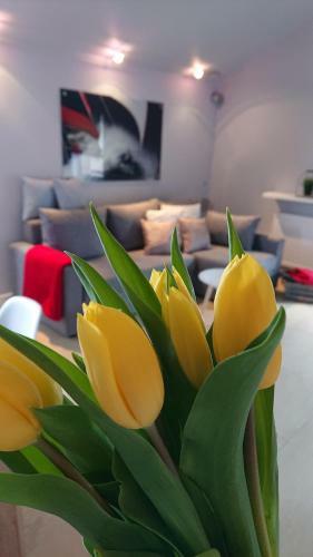 Apartament Silver Mi?dzywodzie
