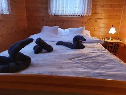 Lodge Domek Gucio