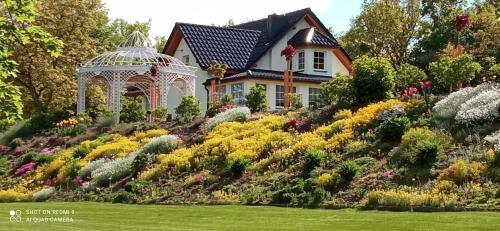 Villa Willa Przy Pla?y
