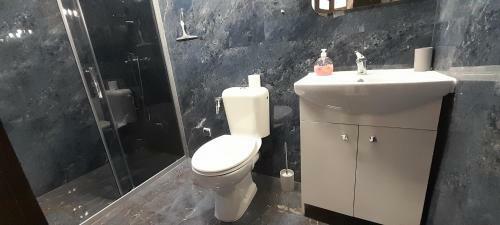Tajger Apartamenty / Studio