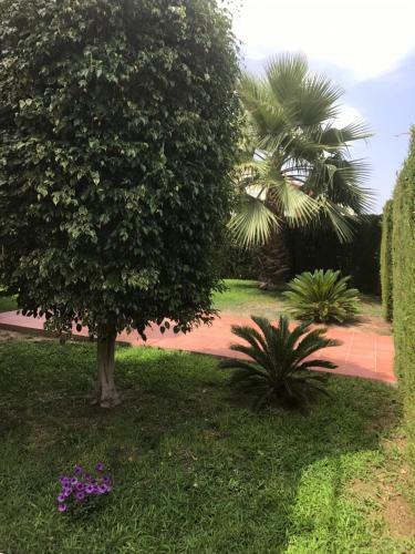 Apartment Altos de La Bahia X