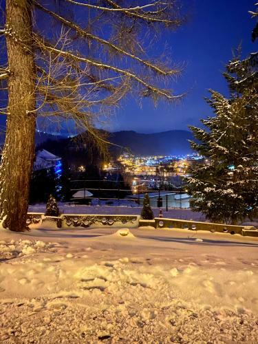 Apartament Muszyna