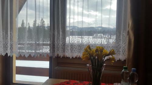 Bed & Breakfast Le?ne Zacisze