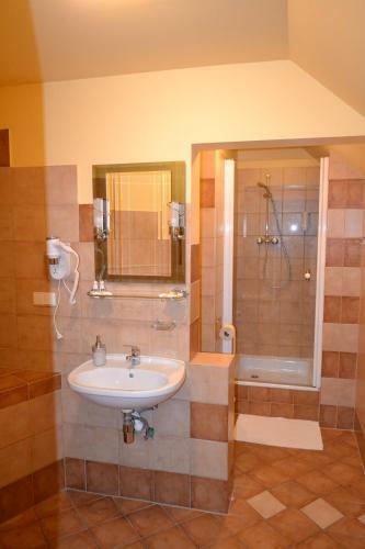 Hotel Lokis
