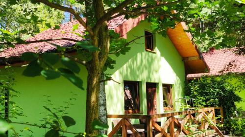 Niezapominajka-jura