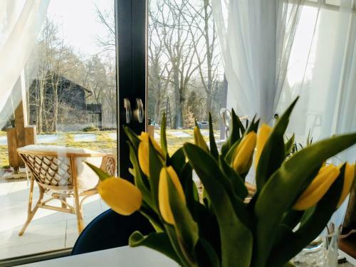 Apartamento R�?ana 2
