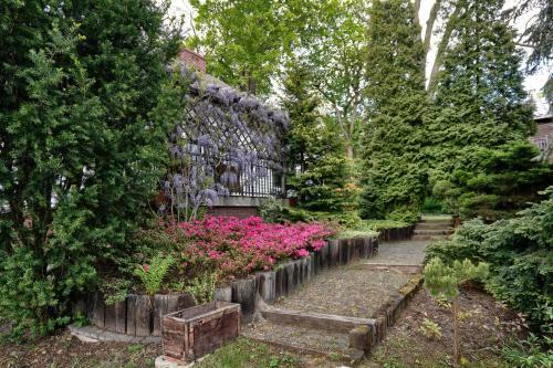 Villa Dom Z Widokiem Na Park