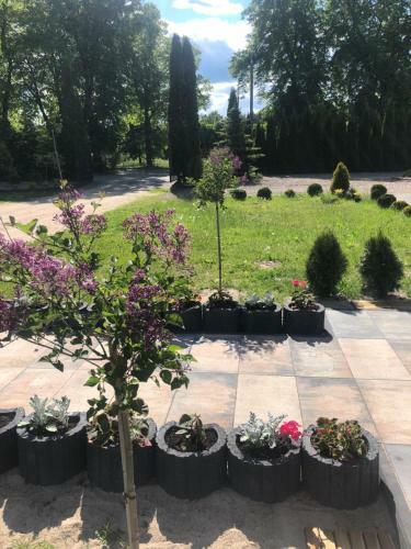 Apartamenty Arkadia Przy Amfiteatrze