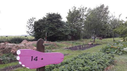 Bed & Breakfast De Sternhof