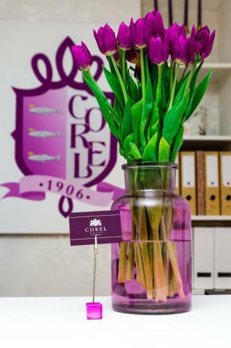 Hotel Corel