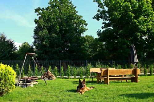 Apartamenty Mazury