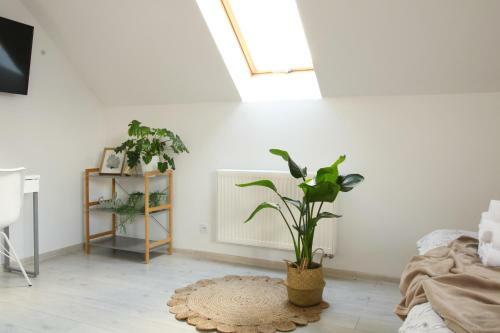 Apartamento Ruda Sowa Extra