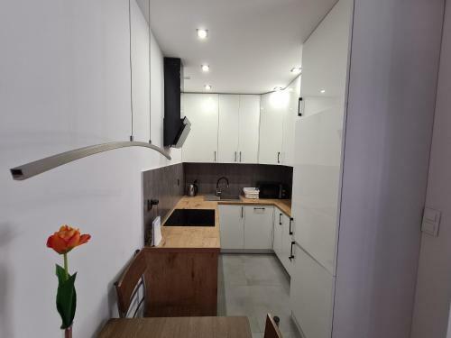 Apartament Ko?ciuszki 1