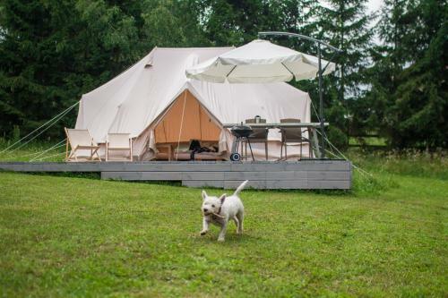 Glamping With The Lake View