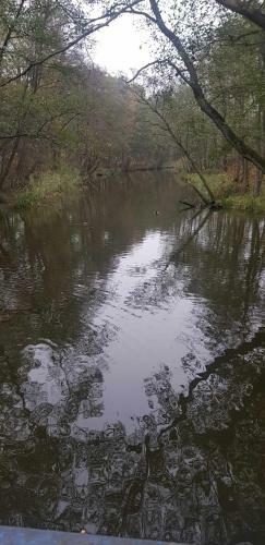 Apartament Nad Liwk?