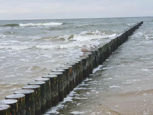 Baltic Cliff Apartamenty