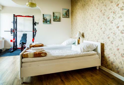 Apartamenty 49