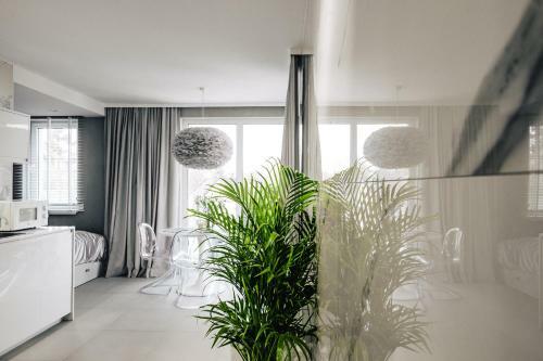 Apartament Gray