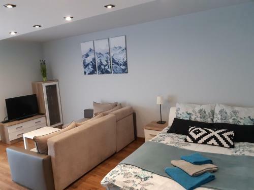 Apartament-studio Polana Szaflarska