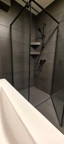 Apartament Na Borze