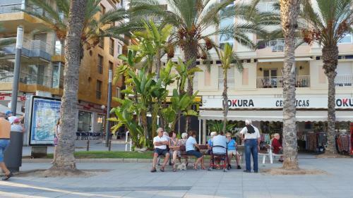 Apartamento Homely Appartment Playa Acequion
