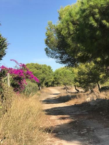 Apartamento Appartement Kyrah