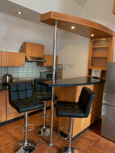 Apartament Ustronie Les?ne