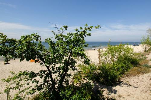 Apartamento Familien Studio Strandperle